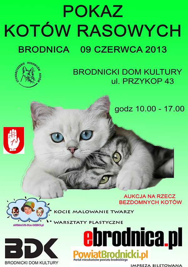 Pokaz kotów rasowych w Brodnicy